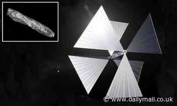 A tiny satellite with a solar sail could be built rapidly to catch interstellar objects
