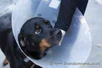 RSPCA reveals Greater Manchester is second highest animal cruelty hotspot
