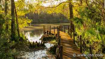 The 'Amazon of North America' could be Florida's best-kept secret