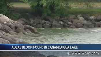 Harmful algae bloom found on Canandaigua Lake, public swimming not impacted