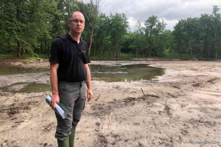 Natuurpunt verdedigt zich over heisa over dode vissen: “Meer vissen gered dan er verloren gingen”