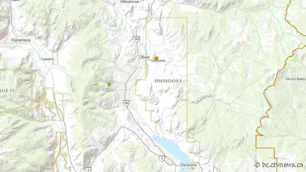 Wildfire burning in B.C.'s South Okanagan forces evacuation of several properties
