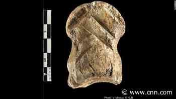 A tiny 50,000-year-old bone is changing how we think about early humans