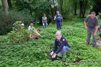 Reichenbachs grüne Lunge: Viele packen dort mit an - Freie Presse