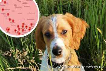 Map shows Alabama rot hotspots across Bolton - The Bolton News