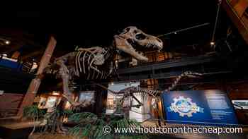 Move over Shark Week – T-Rex Week coming to Houston Museum of Natural Science in July - Houston On The Cheap