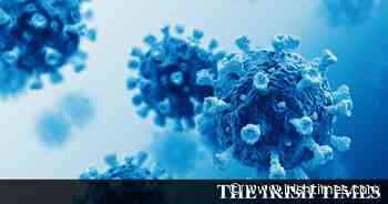 Coronavirus could be with us for many years, says vaccine creator - The Irish Times