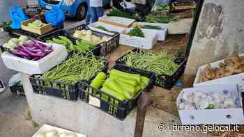 Multe pesanti e Daspo urbano per tre ortolani abusivi - Il Tirreno