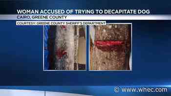 Albany-area woman accused of stabbing, trying to decapitate her dog