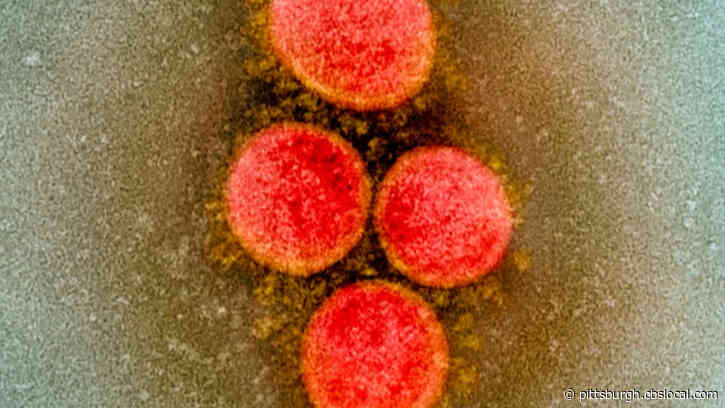 Fully Vaccinated Ambridge Man Contracts Delta Variant Of COVID-19