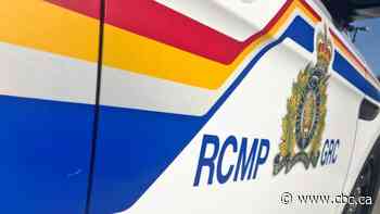 2 die at Turtle Lake in Sask. after man tries to rescue woman