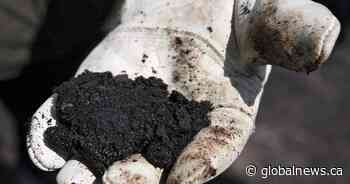 Alberta government becomes part owner of Sturgeon Refinery