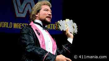 Ted DiBiase On His Experience Working In WWE NXT, Vince McMahon Pitching His 'Million Dollar Man' Character - 411mania.com