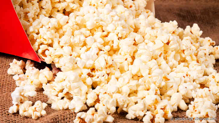 Cinema In The Park Returns To Pittsburgh