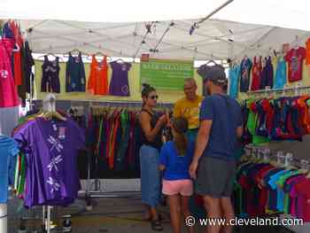 Lakewood Arts Festival returns on Aug. 7 for 44th year: A Place in the Sun - cleveland.com