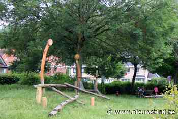 Minder geld voor wijkbudgetten maar kansen voor meer projecten - Het Nieuwsblad