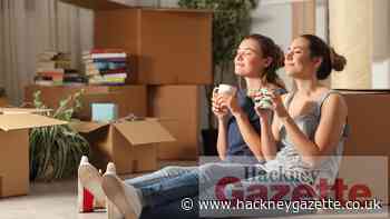 What to do if your rented accommodation has a pest problem - Hackney Gazette