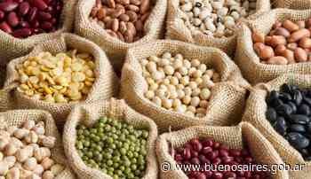 Legumbres: ¿cómo incluirlas en la alimentación? | Noticias - buenosaires.gob.ar