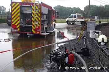 Riolering kan water niet aan in Halen (Halen) - Het Nieuwsblad