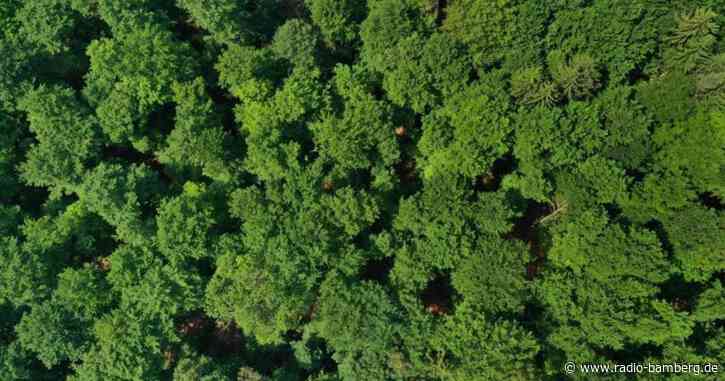 Verlaufen nach der Pinkelpause