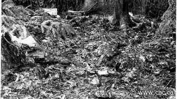 Thunder Bay lab hopes to help crack decades-old Babes in the Woods case in B.C.