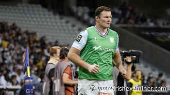 Donnacha Ryan joins coaching set-up at Ronan O'Gara's La Rochelle - Irish Examiner