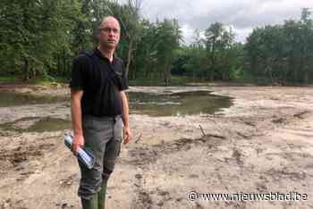 Natuurpunt verdedigt zich over heisa over dode vissen: “Meer vissen gered dan er verloren gingen” - Het Nieuwsblad