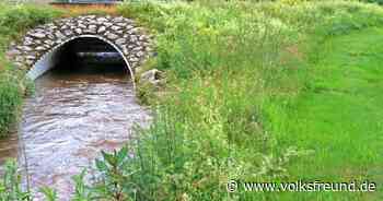 Die Gemeinde Morbach will ihren Hochwasserschutz ausbauen. - Trierischer Volksfreund