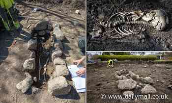 Seven Viking tombs discovered in a 'Christian-looking burial' in Sweden