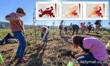 Planting 20% more trees throughout Europe could help climate change, boost summer rainfall nearly 8%