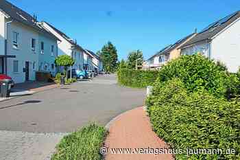 Steinen: Zwei Bäume am Gebietseingang - Steinen - www.verlagshaus-jaumann.de