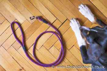 Greater Manchester Police issue dog theft prevention advice