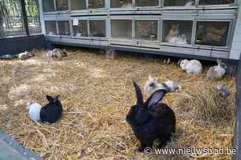 Ziek, gewond of dood: politie neemt in Lozen 425 dieren in beslag