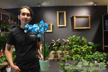 Met Via Flora eindelijk weer bloemenwinkel in hartje Westmalle