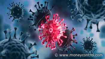 Coronavirus News LIVE Updates: Chhattisgarh's COVID-19 count rose to 9,96,359 with the addition of 322... - Moneycontrol