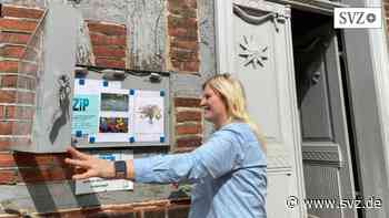 Parchim: Claudia Schumacher hält Fäden für Vereinsa(u)ktionswoche in der Hand | svz.de - svz.de