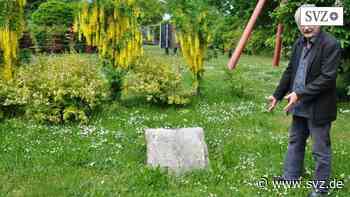 Ludwigslust-Parchim: Kunstaktion „Lupinale“ ist gestartet | svz.de - svz – Schweriner Volkszeitung