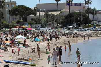 Alcool, barbecue, chicha, chien... Ce que vous pouvez ou ne pas faire sur les plages cannoises cet été