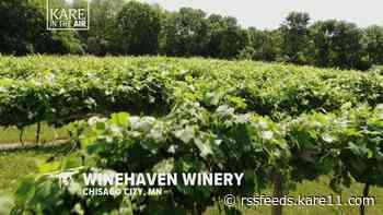 KARE in the Air: Winehaven in Chisago City