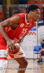 De' Longhi Treviso, sul mercato si valuta il profilo dell'ala Kerry Blackshear - Serie A Girone Unico - Basketmarche.it