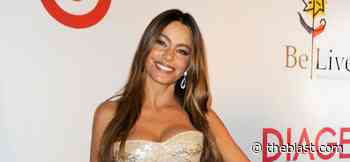 Sofia Vergara Rocks Summer Dress for ‘Modern Family’ Picnic - The Blast