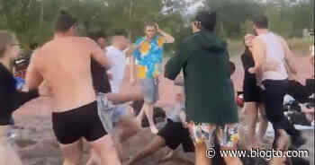Video shows ridiculous brawl at Toronto beach this weekend - blogTO