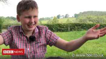 Irish boy swaps cash prize for some lovely cows