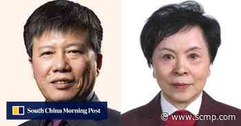 Aerospace investment chair detained for attacking academics, say police - South China Morning Post