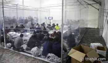 Coronavirus infections surging in immigration facilities | TheHill - The Hill