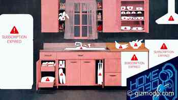 In 2030, You Won't Own Any Gadgets - Gizmodo