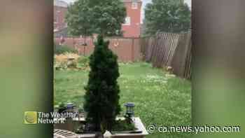 Hail zings around a backyard in Markham, ON - Yahoo News Canada