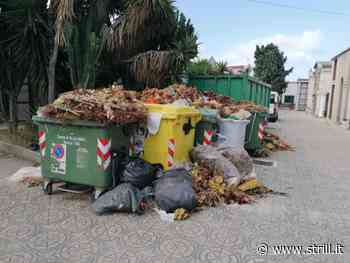Reggio Calabria - Cumuli di rifiuti al cimitero di Modena, i cittadini: "Un degrado assoluto" - strill.it - Strill.it