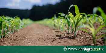 'Urgent need to make agri-food systems appealing to young people' – UN report - Agriland.co.uk