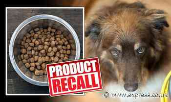 Dog food recalled over salmonella contamination and risk to human health - full list - Express